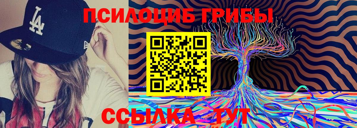 Белореченск  Псилоцибиновые грибы Psilocybine cubensis  Вход с VPN 